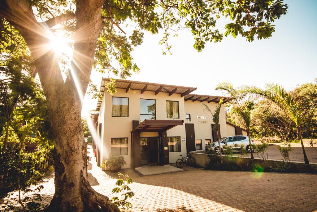 Forest Lodge Saint Lucia Estuary Buitenkant foto