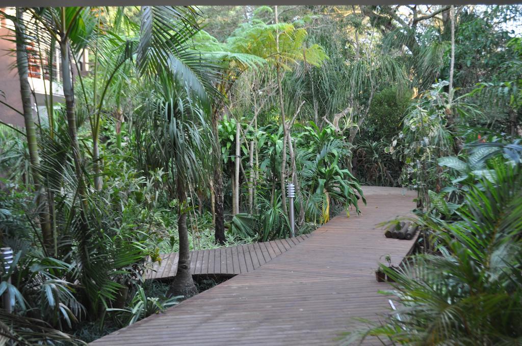 Forest Lodge Saint Lucia Estuary Buitenkant foto