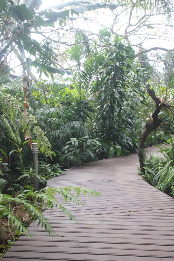 Forest Lodge Saint Lucia Estuary Buitenkant foto