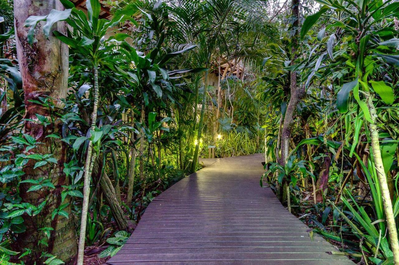 Forest Lodge Saint Lucia Estuary Buitenkant foto